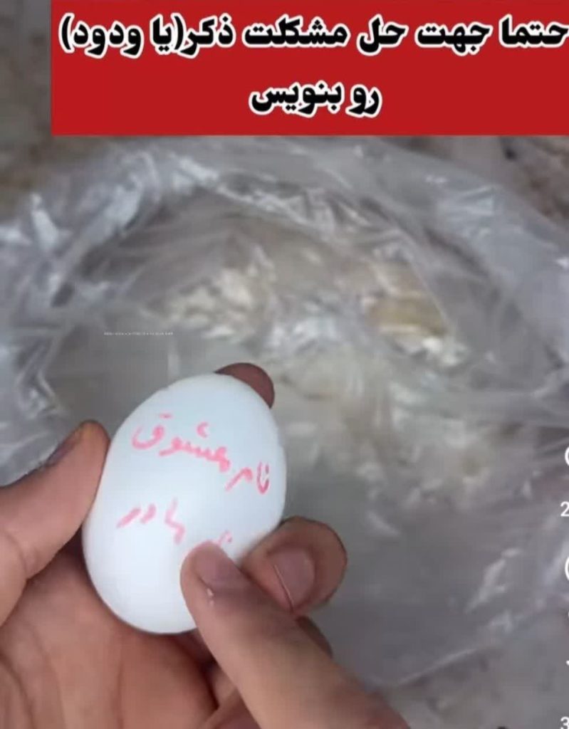 شماره دعانویس تبریز